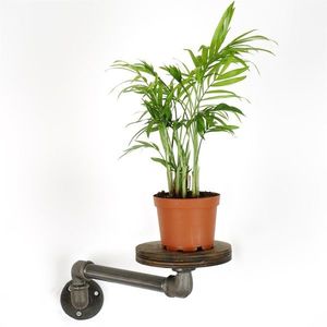 Suport pentru ghivece, BORURAF261, 35x12x10 cm, Argintiu imagine