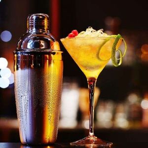 Shaker, Hermia, 244VTR1116, 500 ml, Argintiu imagine