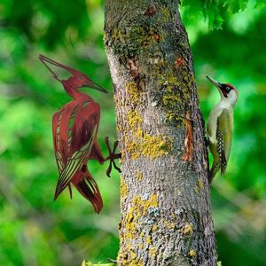 Obiect decorativ de grădină, Bird on the branch 30, 40x22 cm, Multicolor imagine