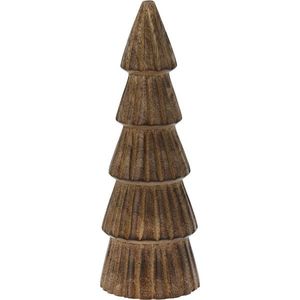 Brăduț de mango, 9 x 20 cm imagine