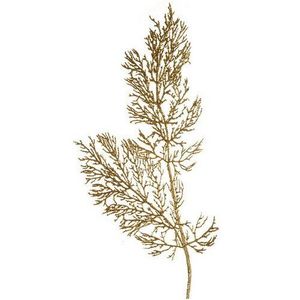 Decorațiune Frunze cu sclipici, în. 90 cm, 2 buc. imagine