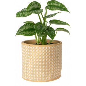 Mască de ghiveci Landon, 14 x 13 cm, beton imagine