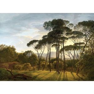 Fototapetă XXL Old Forest 360 x 254 cm, 4 părți imagine