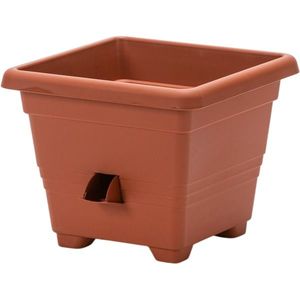 Ghiveci autoudare BERGAMOT Plastia 25 x 25, 25 x 25 cm, teracotă, 25 x 25 cm imagine