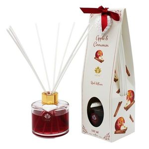 Difuzor cu bețișoare Arome Apple and Cinnamon, 100ml imagine