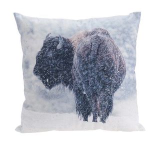 Pernă Bizonul, 45 x 45 cm imagine