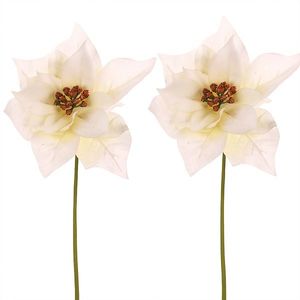 Set de Crăciunițe pe tulpină, 2 bucăți, crem, 32 cm, crem deschis imagine