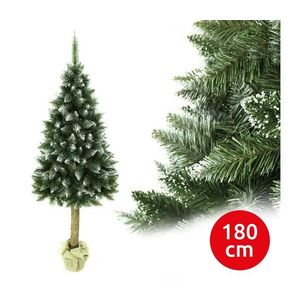 Brad de Crăciun pe trunchi 180 cm, specie molid imagine