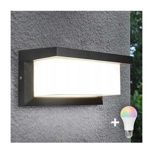 Aplică de perete exterior LED RGBW NEELY, compatibilă cu dimmer, 1xE27/9W/230V, IP54, antracit imagine