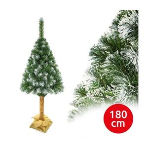 Brad de Crăciun pe trunchi 180 cm, pin imagine