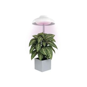 Lampă LED de interior pentru creșterea plantelor GROW LED/5W/5V imagine
