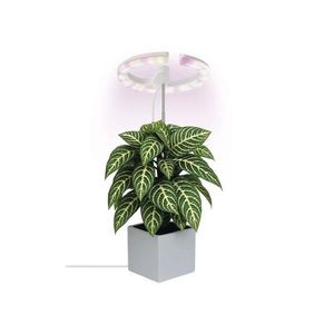 Lampă LED dimabilă de interior pentru cultivarea plantelor GROW LED/8W/5V imagine