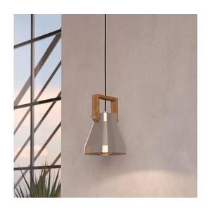 Lustră pe cablu CAWTON Eglo 43951 1xE27/40W/230V imagine
