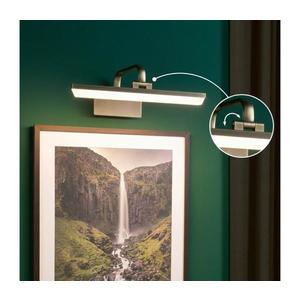 Paulmann 95569 - Lampă pentru tablouri RENAN LED/9, 5W 230V 40 cm alamă imagine
