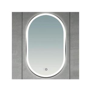 Oglindă de baie ERBA Brilagi-LED, LED 25W, 230V, 50x80 cm, aurie, IP44, CRI 90, dimmabilă + CCT imagine