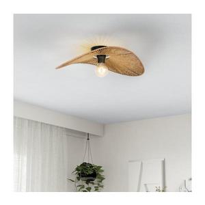 Eglo 31961 - Plafonieră SIRUELA 1xE27/42W/230V maro/negru imagine