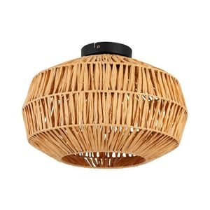 Eglo 44142 - Plafonieră SHELDON 1xE27/40W/230V, maro imagine