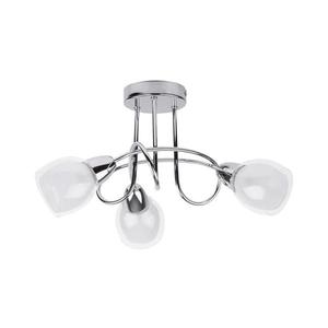 Rabalux 6081 - Plafoniera DAVE 3xE14/40W/230V imagine