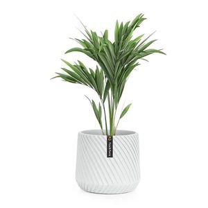 Fox & Fern Heusden, ghiveci de flori, Polystone, potrivit pentru plante, realizat manual imagine