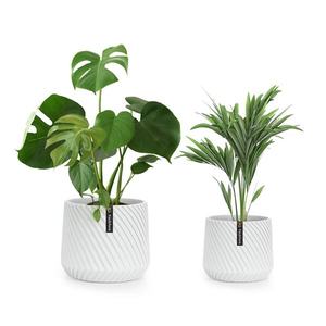 Fox & Fern Heusden, set de 2 ghivece, din polistiren, potrivite pentru plante, realizate manual, aspect 3D imagine