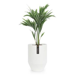 Fox & Fern Almere ghiveci Polystone ideal pentru plante, lucrat manual, conic imagine