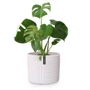 Fox & Fern Ghiveci Hasselt din polistiren, realizat manual, potrivit pentru plante cu aspect 3D. imagine