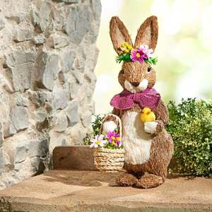 Mama iepure cu pui imagine