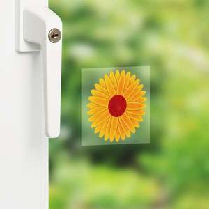 Aparate insecte imagine