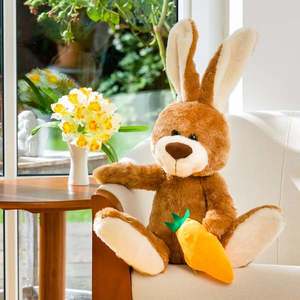 Iepuraș cu morcovi imagine