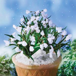 3 buchete de zăpadă imagine