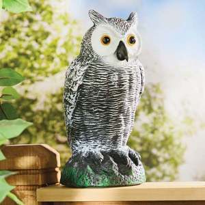 Alungător de păsări Bufniță imagine
