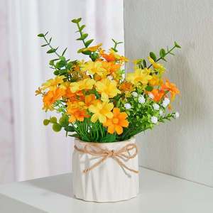 Buchet în ghiveci imagine