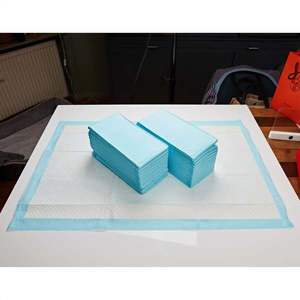 25 de tampoane absorbante de unică folosință imagine