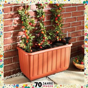 Pat de tomate pe roți imagine