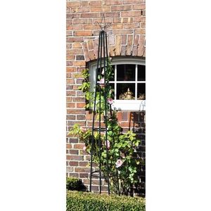 Suport pentru plante cățărătoare imagine