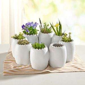 Coroană de masă cu ouă imagine