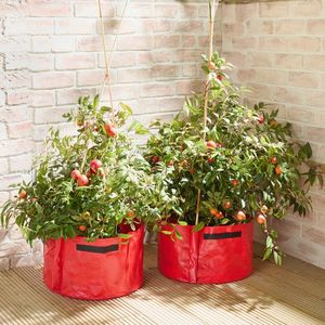 Ghivece de rosii set de 2 buc. imagine