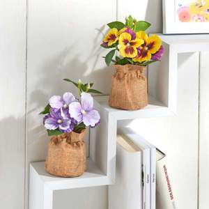 Panselă într-un ghiveci de iută imagine