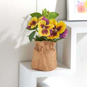 Panselă într-un ghiveci de iută imagine