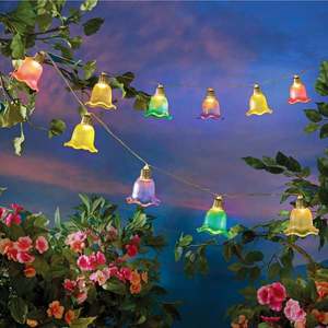 Lanț luminos solar Floral imagine