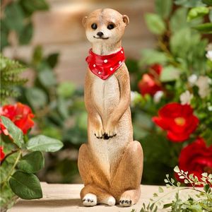 Detector de mișcare Meerkat imagine