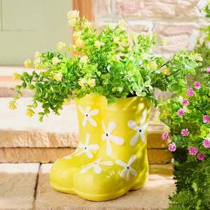 Pantofi de ghiveci imagine