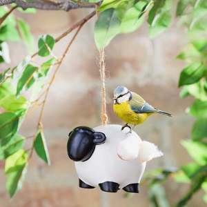 Cuib de pasăre cu oaie imagine