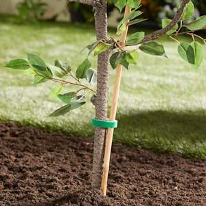 3 suporturi pentru plante cu velcro imagine