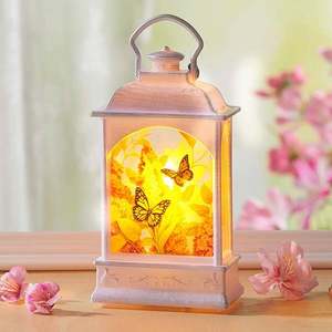 Felinar de vară imagine