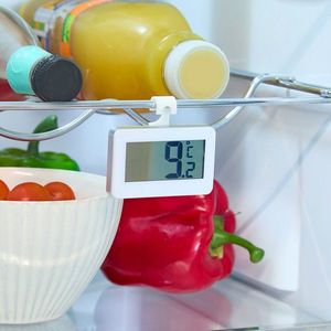 termometre de frigider imagine