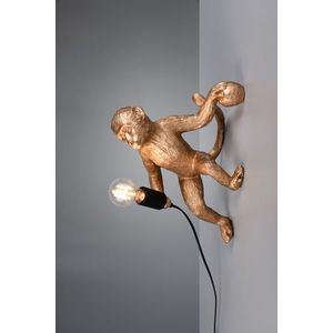 Lampa de perete Louy, RL, 35x20x36.5 cm, 15W, 1x E27, polirasina, auriu imagine