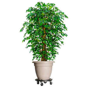 vidaXL Cărucioare de plante cu roți 3 buc. negru diametru 40 cm 275 kg imagine