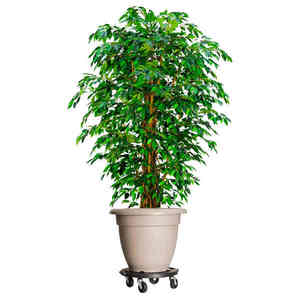 vidaXL Cărucioare de plante cu roți 2 buc. negru diametru 40 cm 275 kg imagine