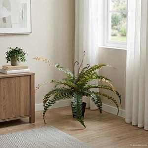 vidaXL Copac cu ferigă artificială Verde 58 x 13 x 60 cm imagine